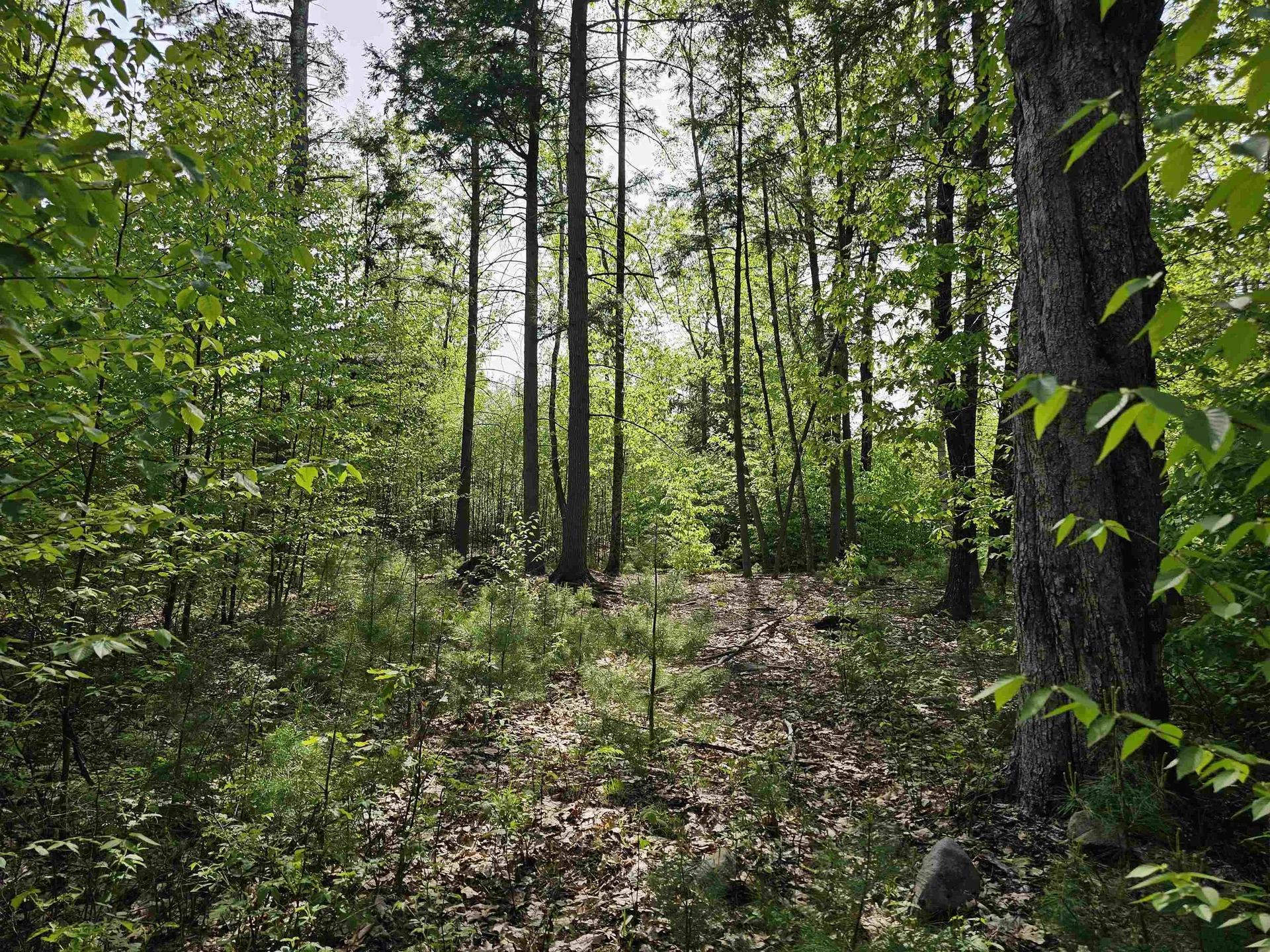 Lot 26 Province Road Belmont NH 03220