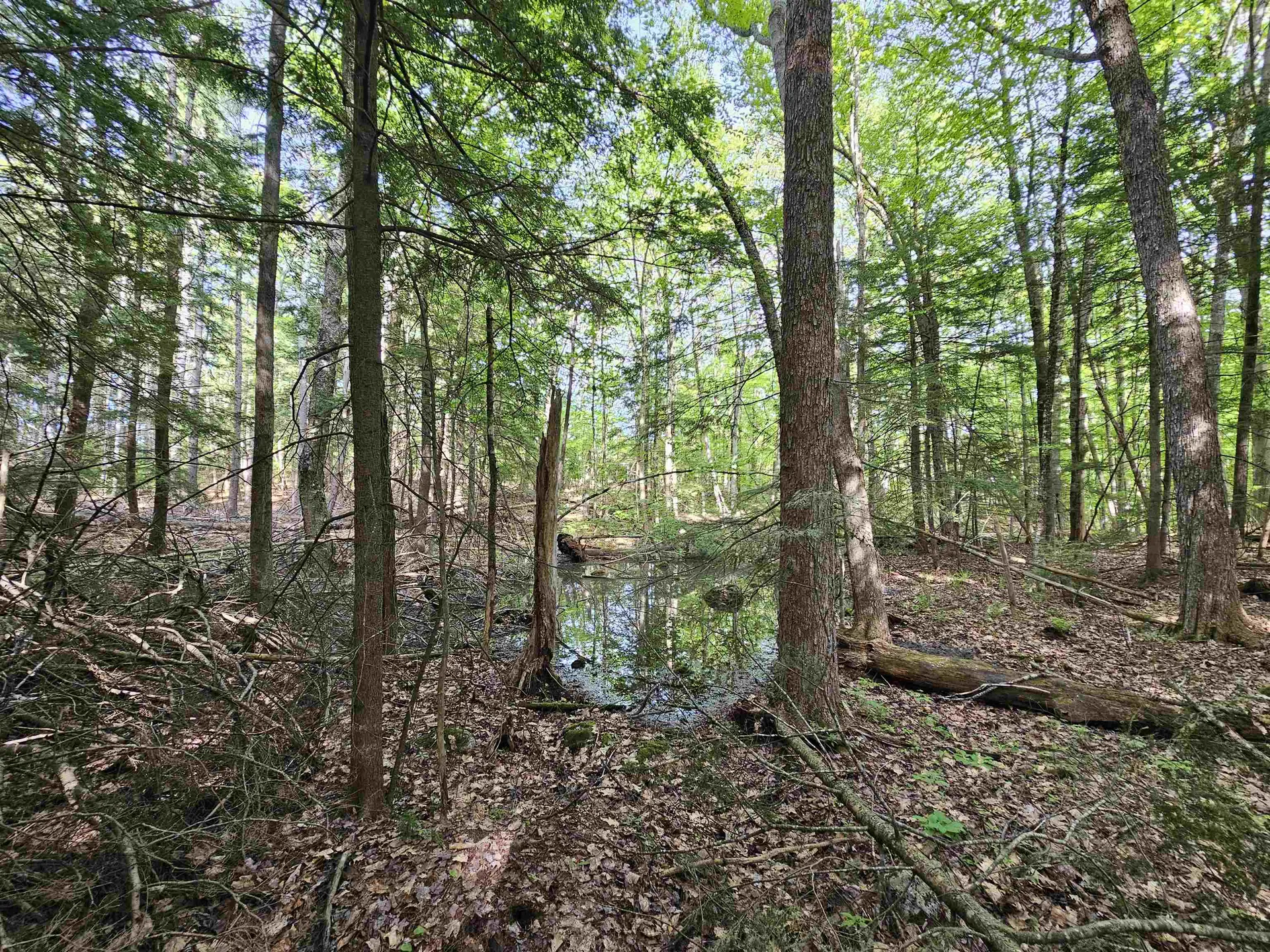 Lot 26 Province Road Belmont NH 03220