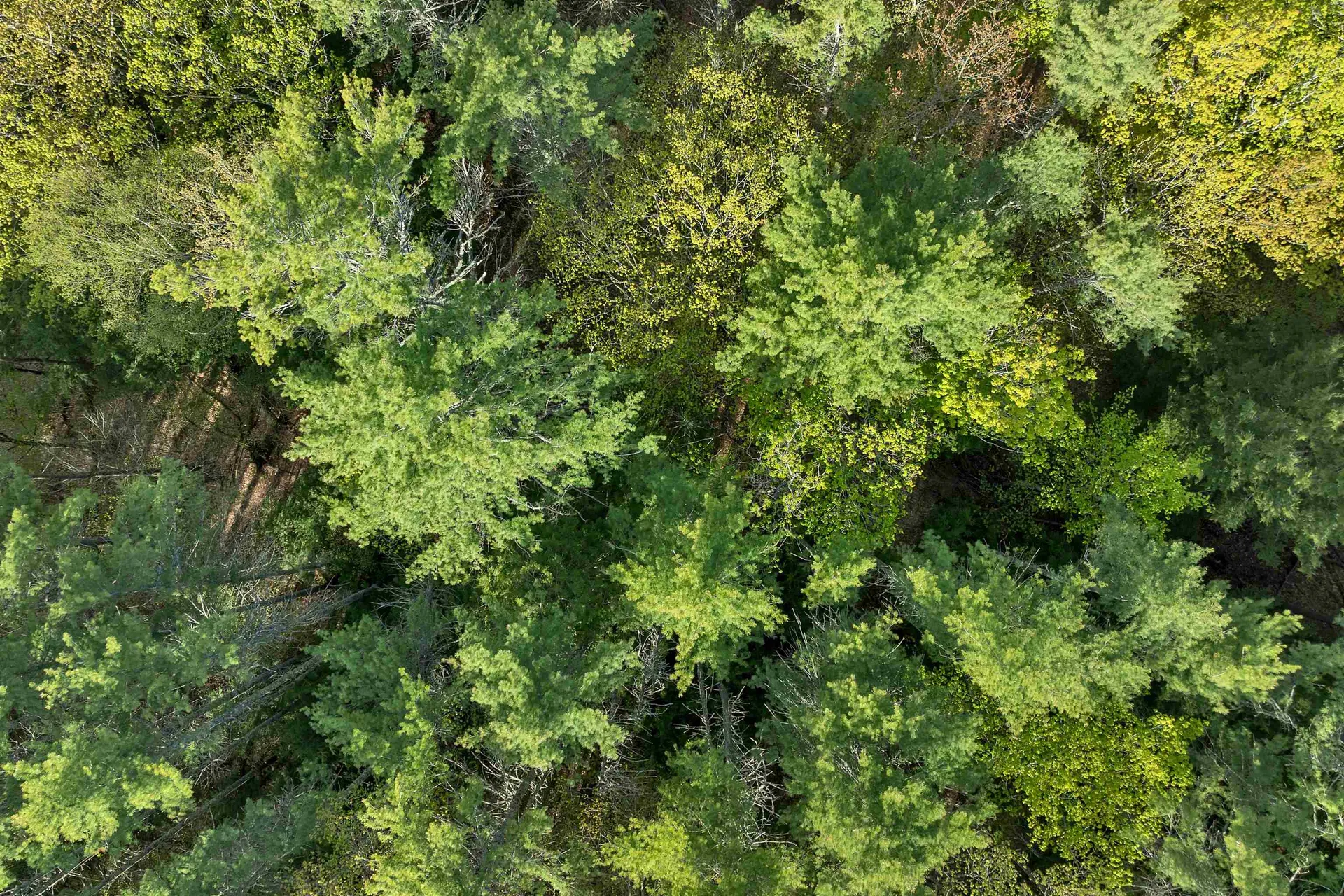 Lot 26 Province Road Belmont NH 03220