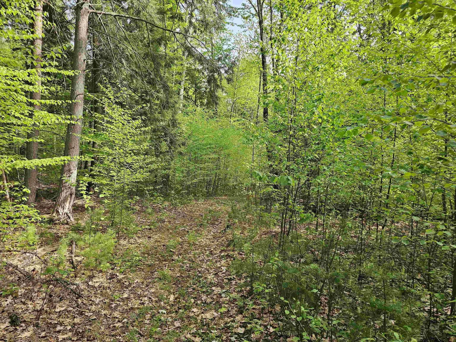 Lot 26 Province Road Belmont NH 03220