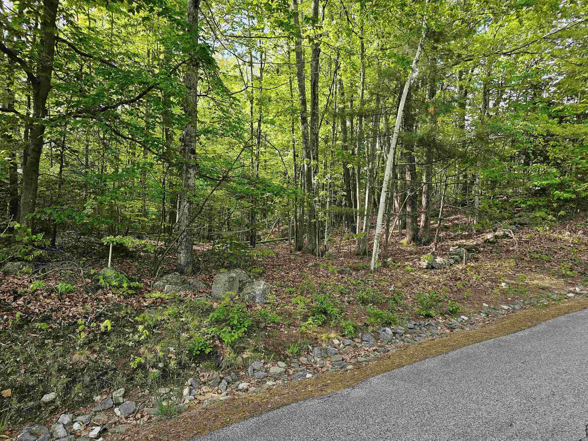 Lot 26 Province Road Belmont NH 03220