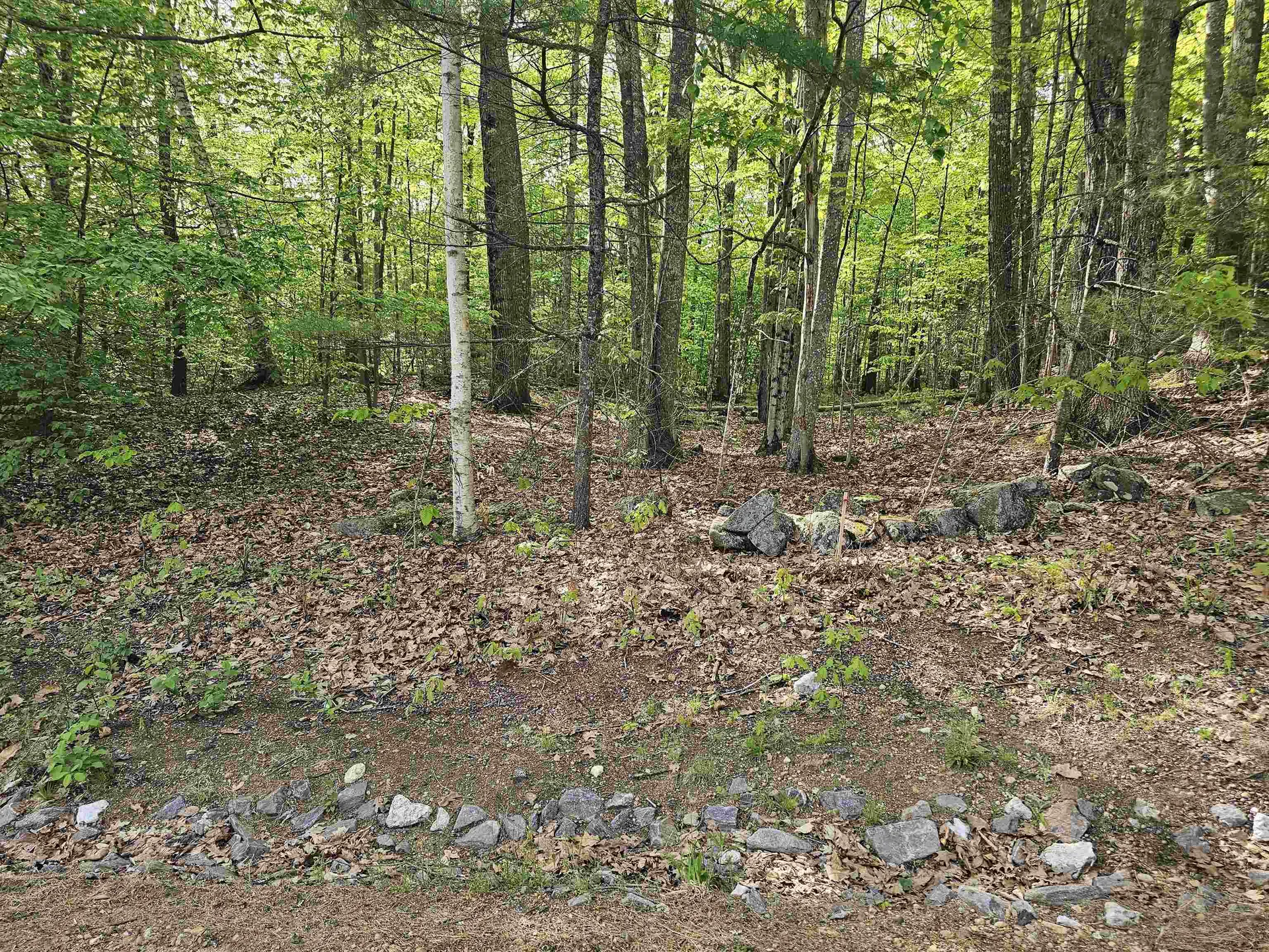 Lot 26 Province Road Belmont NH 03220