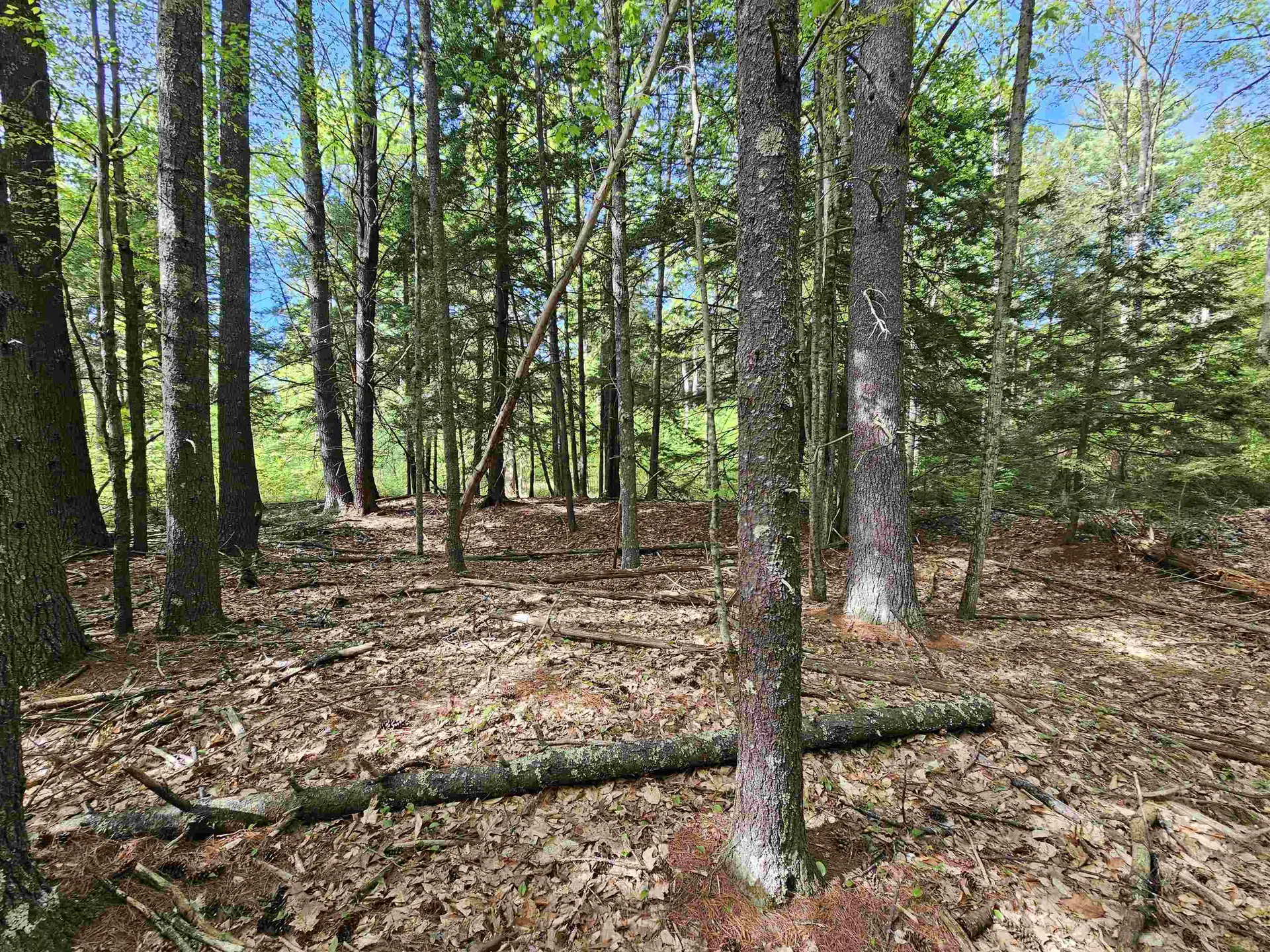 Lot 26 Province Road Belmont NH 03220