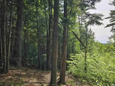 Lot 26 Province Road Belmont NH 03220