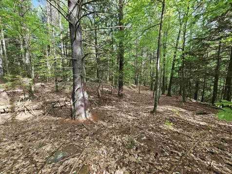 Lot 26 Province Road Belmont NH 03220