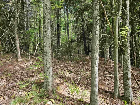 Lot 26 Province Road Belmont NH 03220
