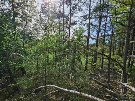 Lot 26 Province Road Belmont NH 03220
