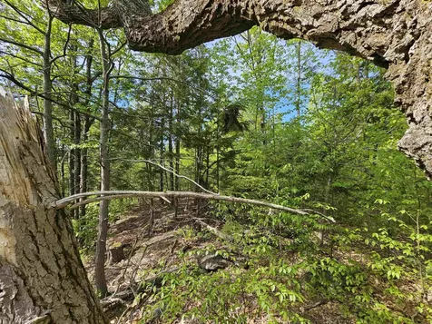 Lot 26 Province Road Belmont NH 03220