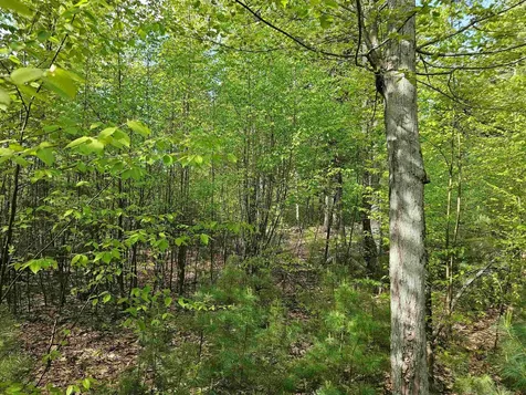 Lot 26 Province Road Belmont NH 03220