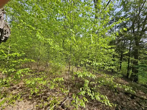 Lot 26 Province Road Belmont NH 03220