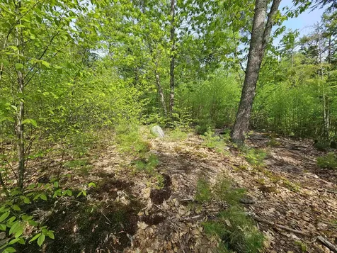 Lot 26 Province Road Belmont NH 03220