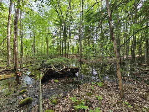 Lot 26 Province Road Belmont NH 03220