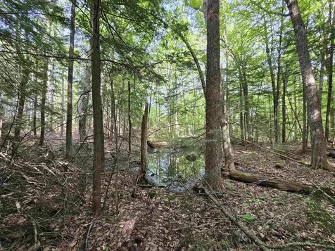 Lot 26 Province Road Belmont NH 03220