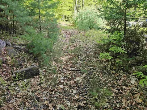 Lot 26 Province Road Belmont NH 03220