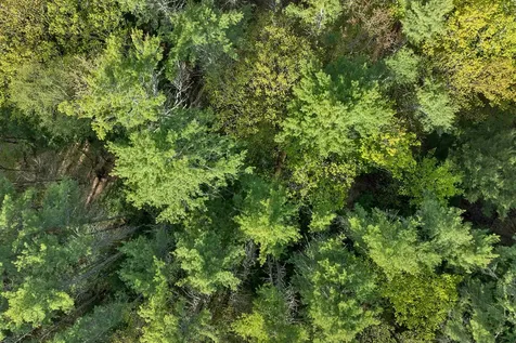 Lot 26 Province Road Belmont NH 03220