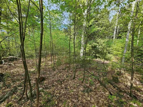 Lot 26 Province Road Belmont NH 03220