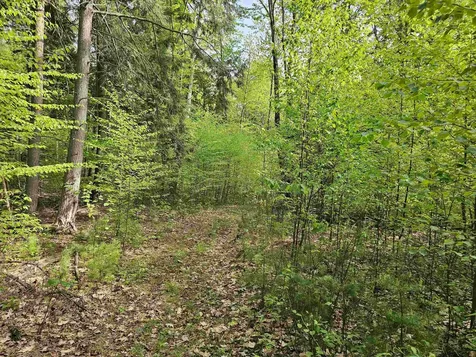 Lot 26 Province Road Belmont NH 03220