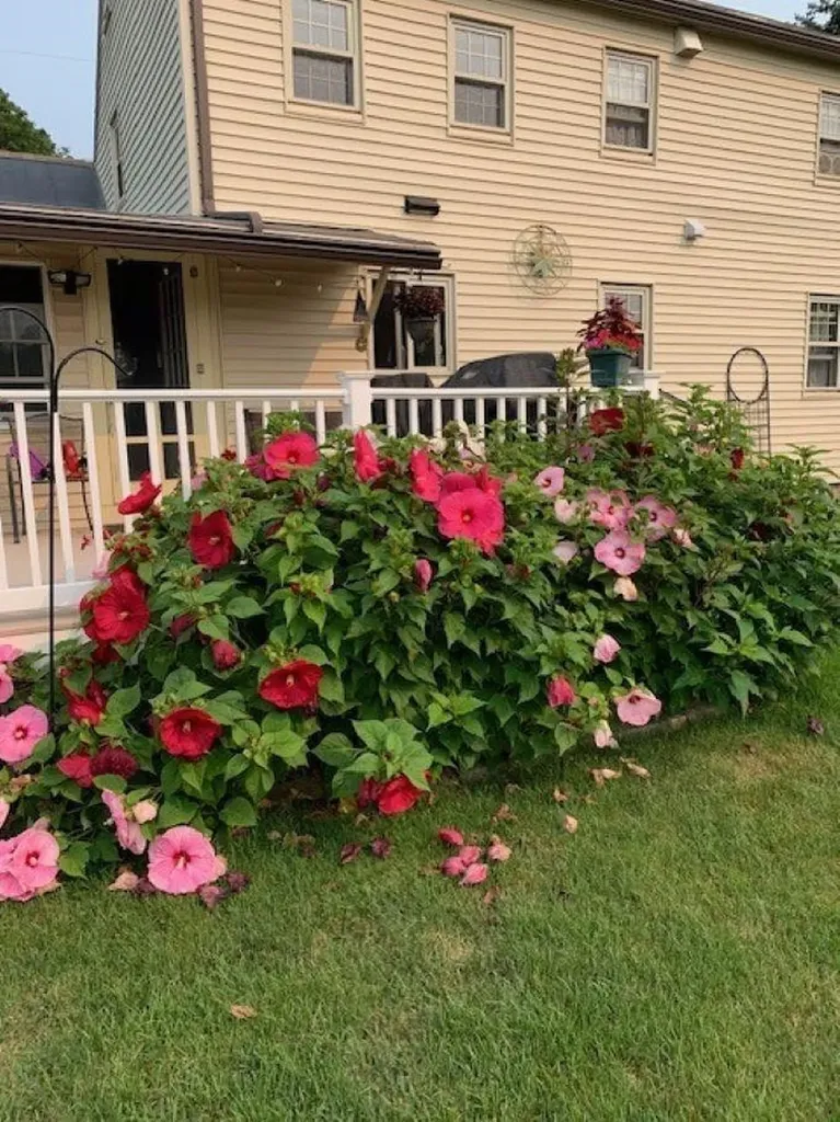 39 Dearborn Avenue Hampton NH 03842