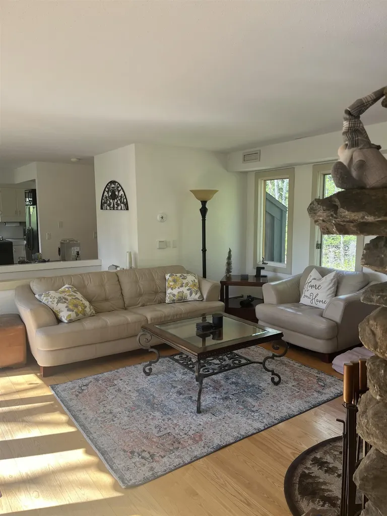 141 Great Hawk Road Rochester VT 05767