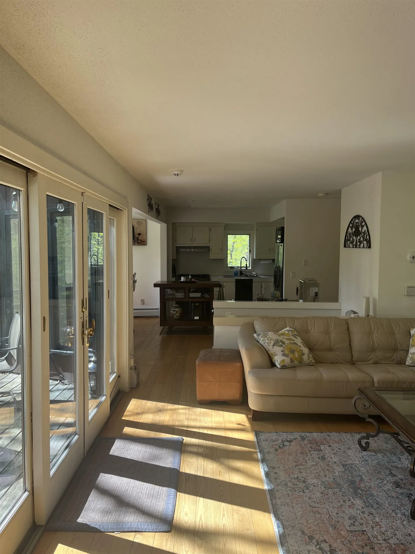 141 Great Hawk Road Rochester VT 05767
