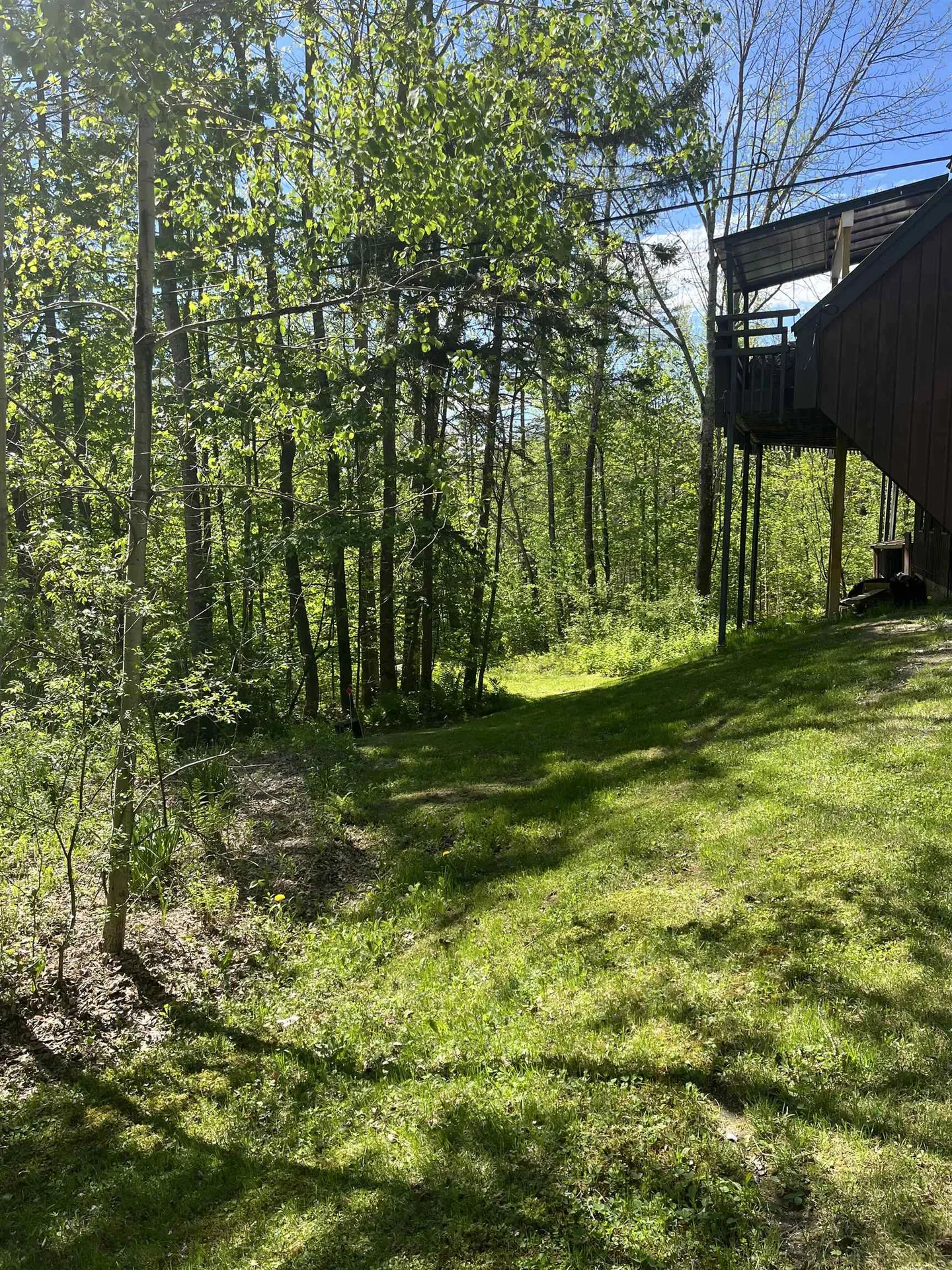 141 Great Hawk Road Rochester VT 05767