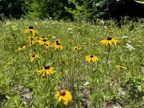 1350 Barker Road Thetford VT 05058