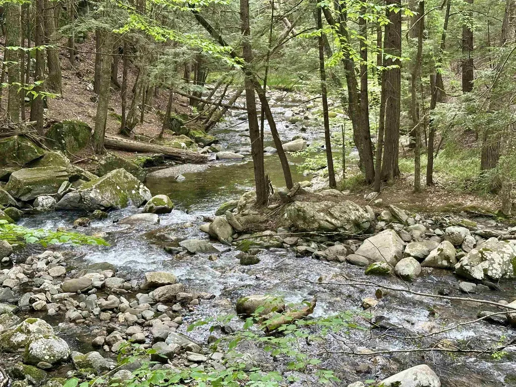 130 Village Road Langdon NH 03602