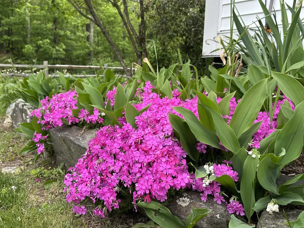 130 Village Road Langdon NH 03602