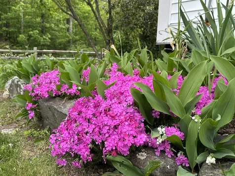 130 Village Road Langdon NH 03602