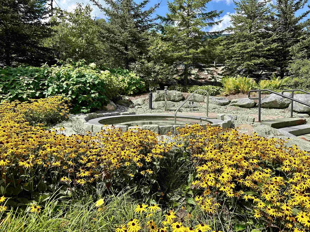 102 Forest Drive Warren VT 05674