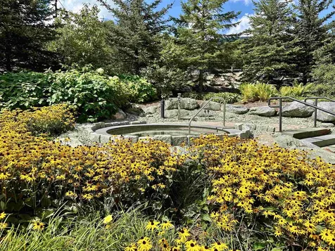 102 Forest Drive Warren VT 05674