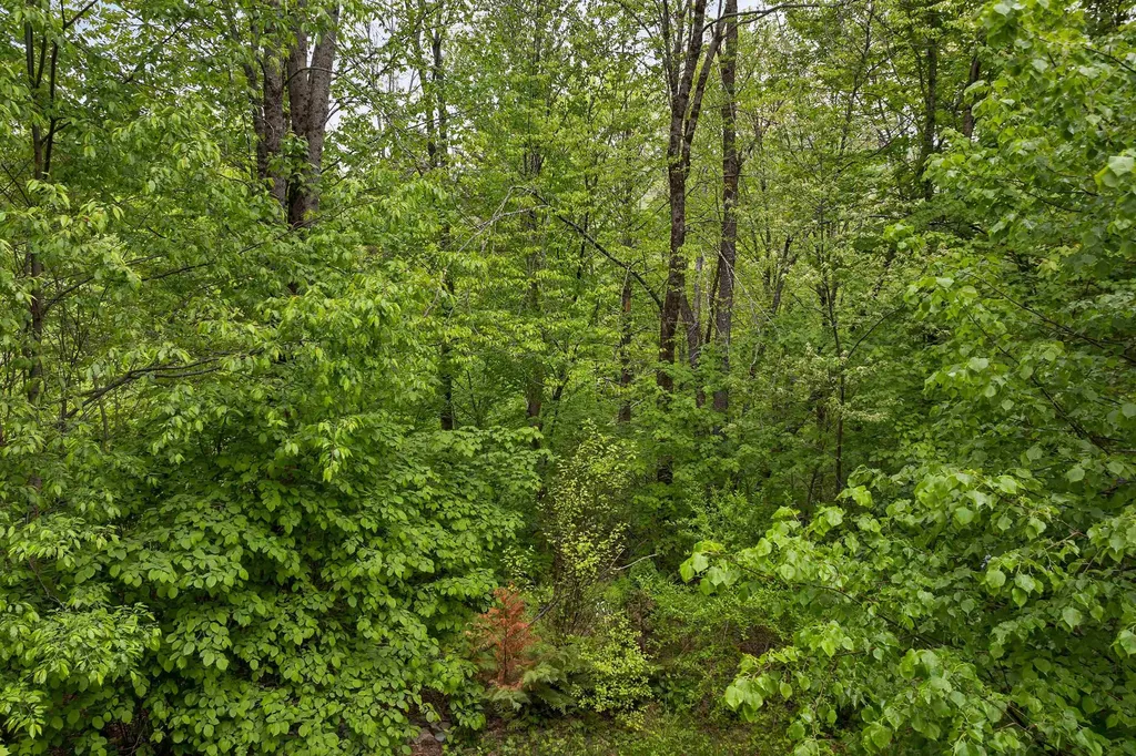 134 Ellsworth Pond Road Ellsworth NH 03223