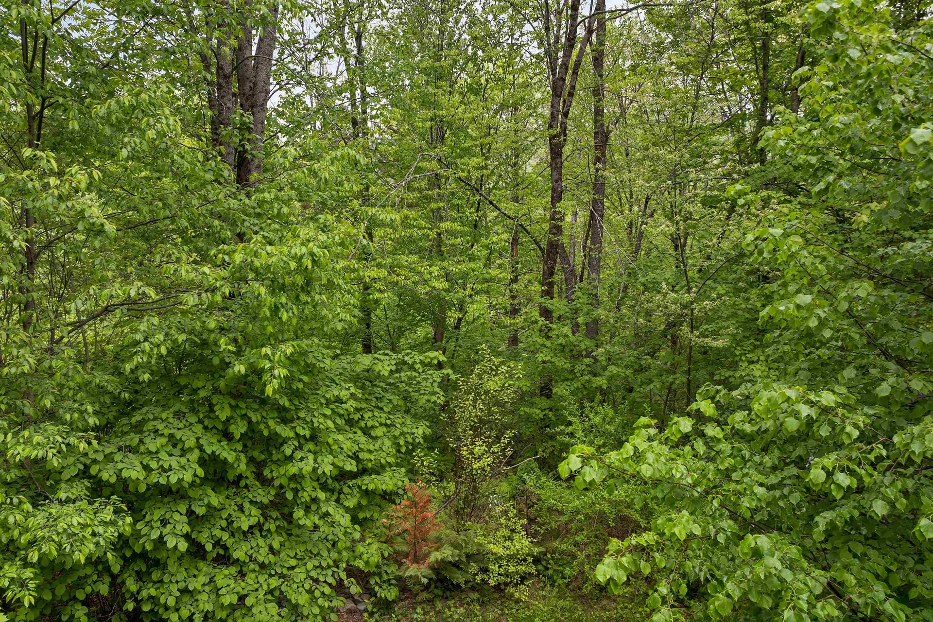 134 Ellsworth Pond Road Ellsworth NH 03223
