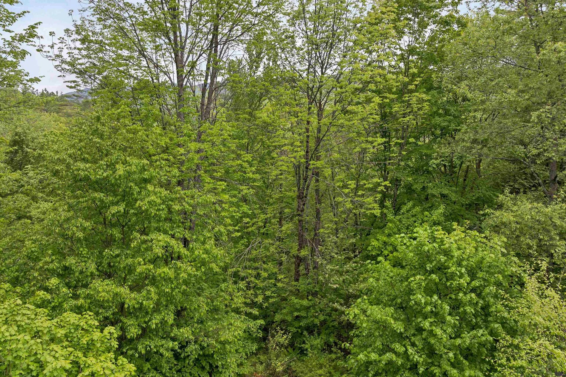 134 Ellsworth Pond Road Ellsworth NH 03223
