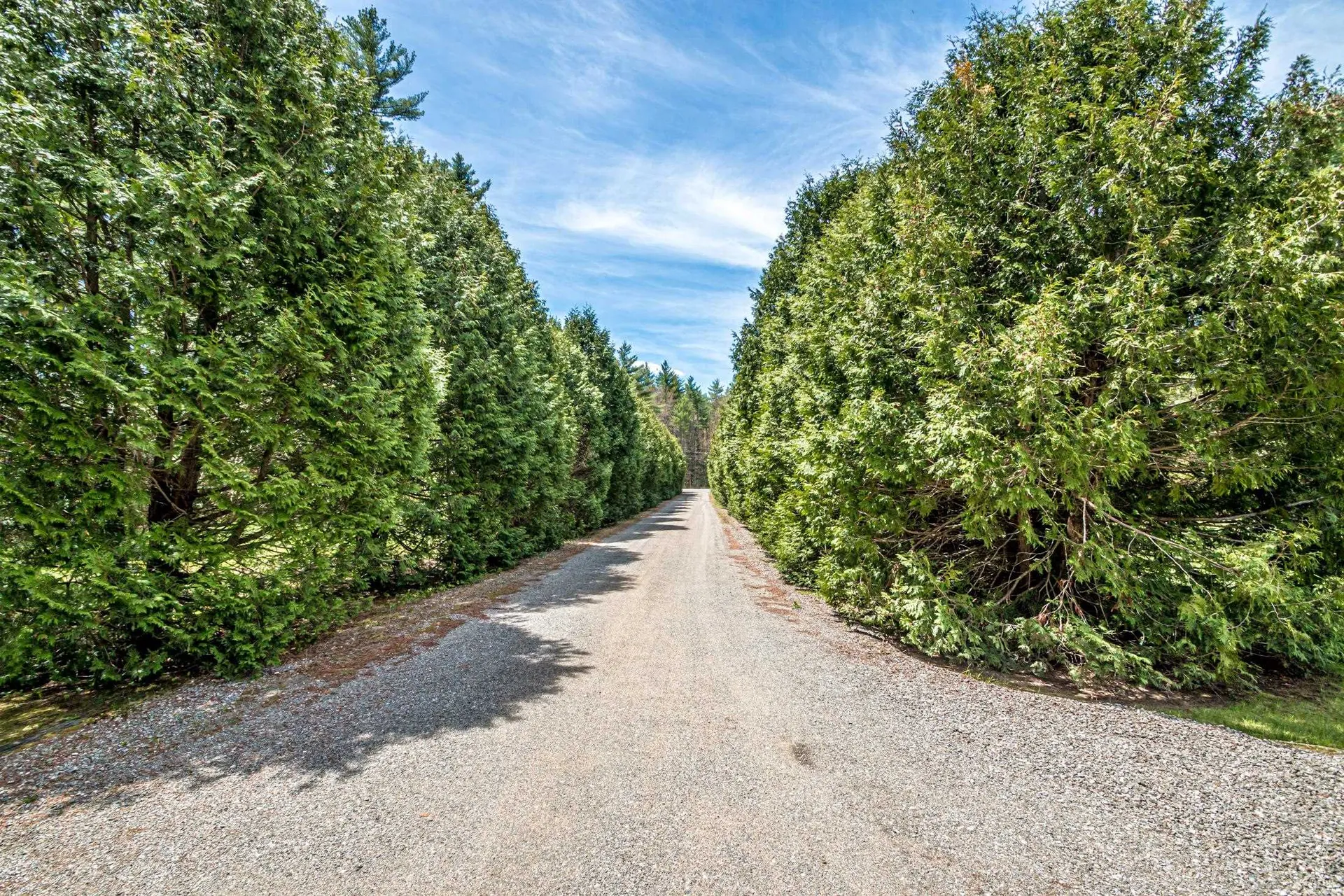 373 Green Hill Road Conway NH 03813