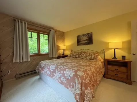 34 Johnson Hill Road Dover VT 05356