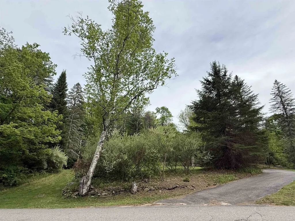 165 Prospect Street Bristol NH 03222