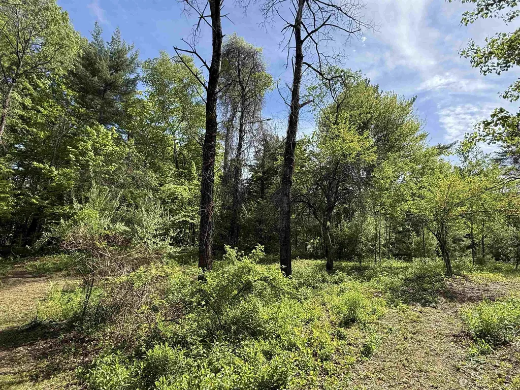 165 Prospect Street Bristol NH 03222