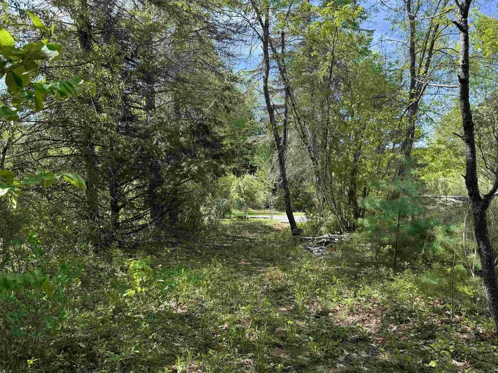 165 Prospect Street Bristol NH 03222
