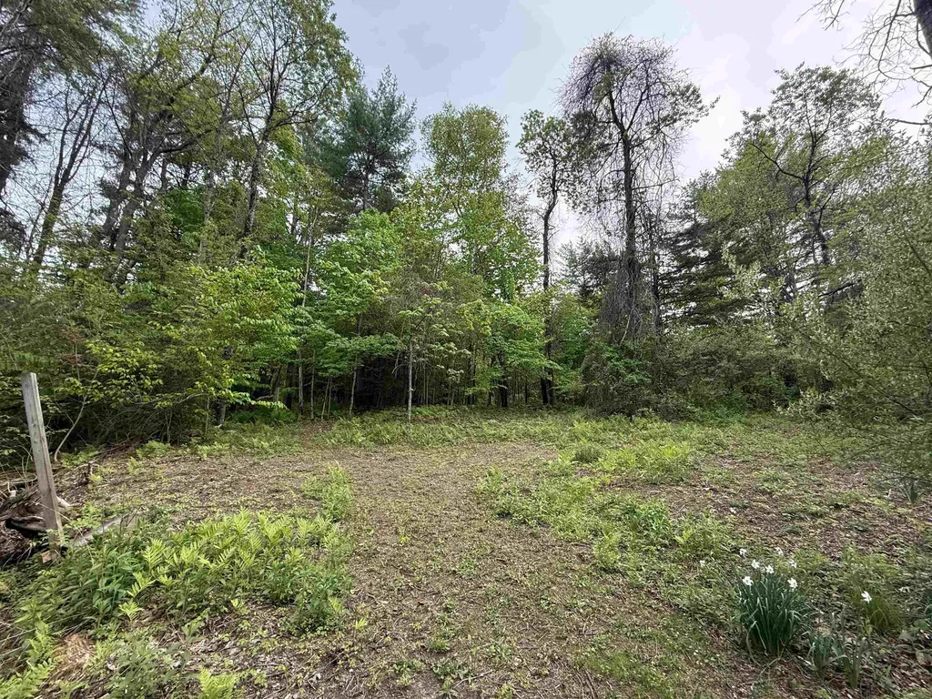 165 Prospect Street Bristol NH 03222