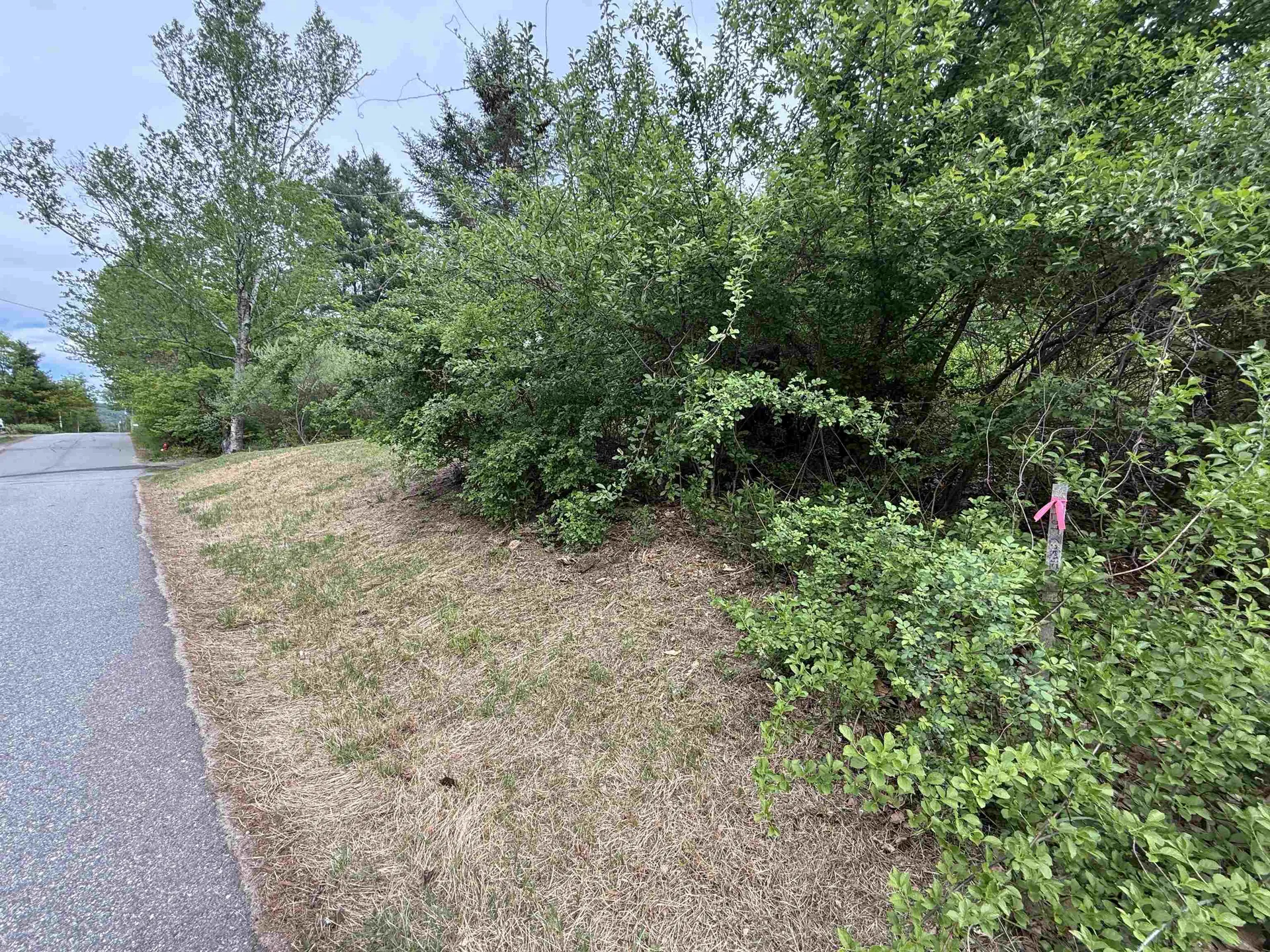 165 Prospect Street Bristol NH 03222