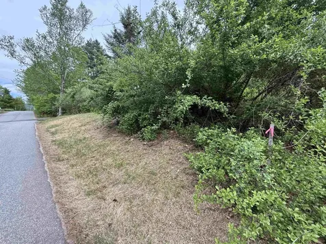 165 Prospect Street Bristol NH 03222