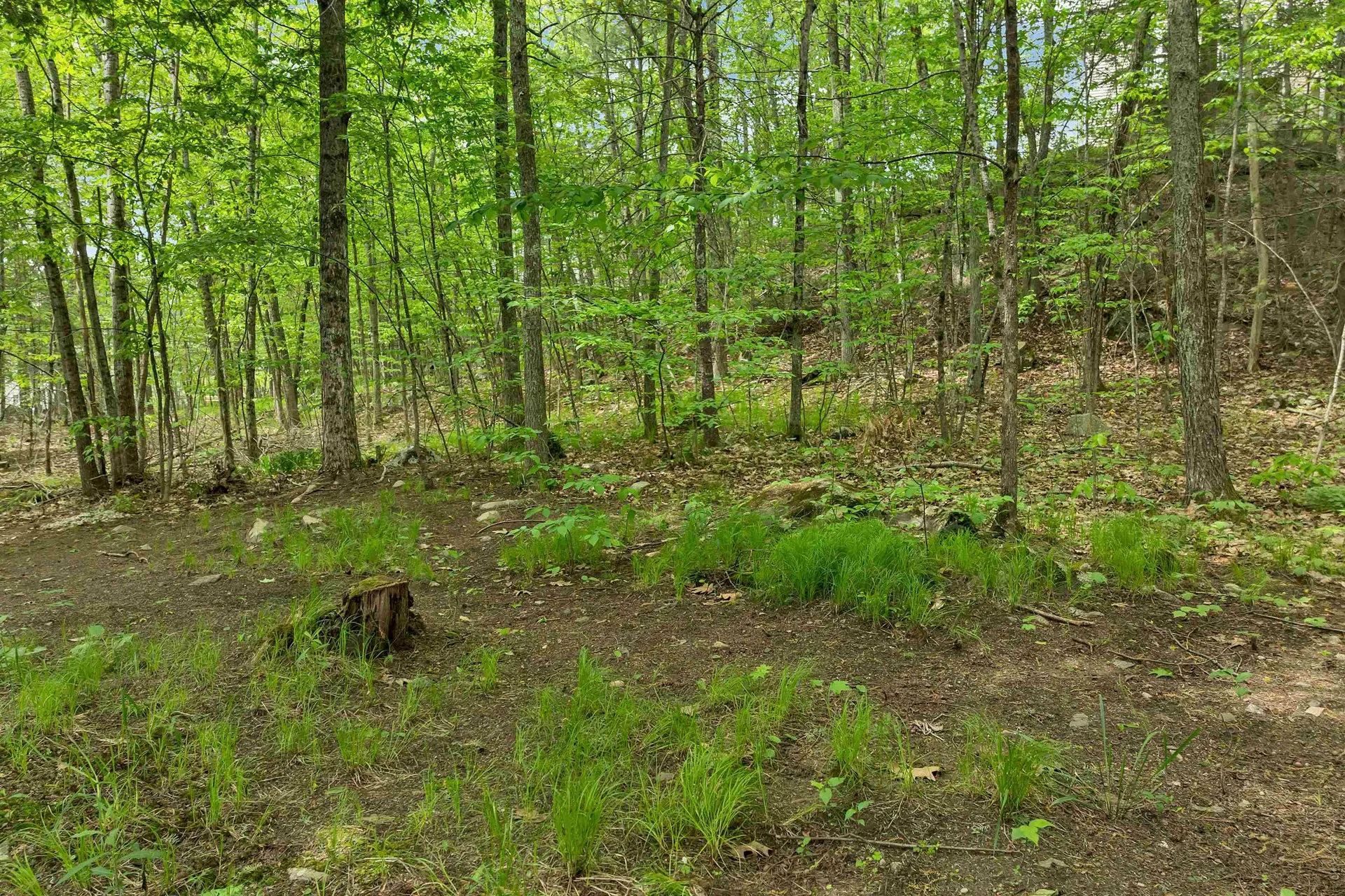 10 Edwin Lane Newmarket NH 03857