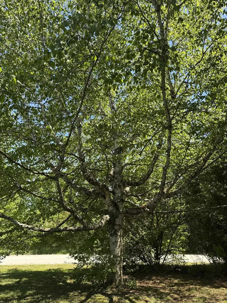 77 Lynrick Acres Road Charlotte VT 05445