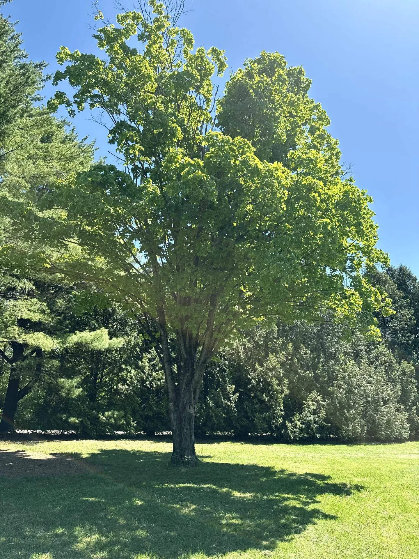 77 Lynrick Acres Road Charlotte VT 05445