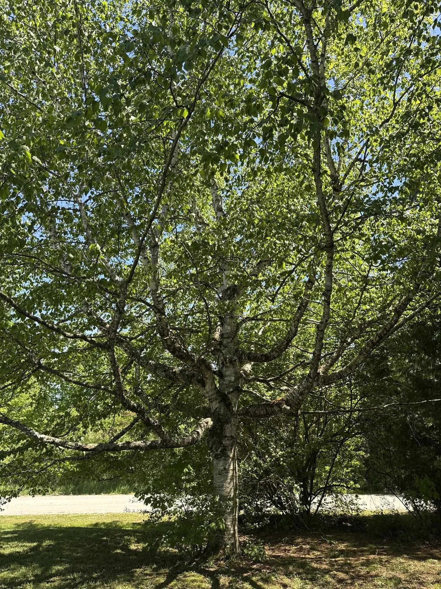 77 Lynrick Acres Road Charlotte VT 05445