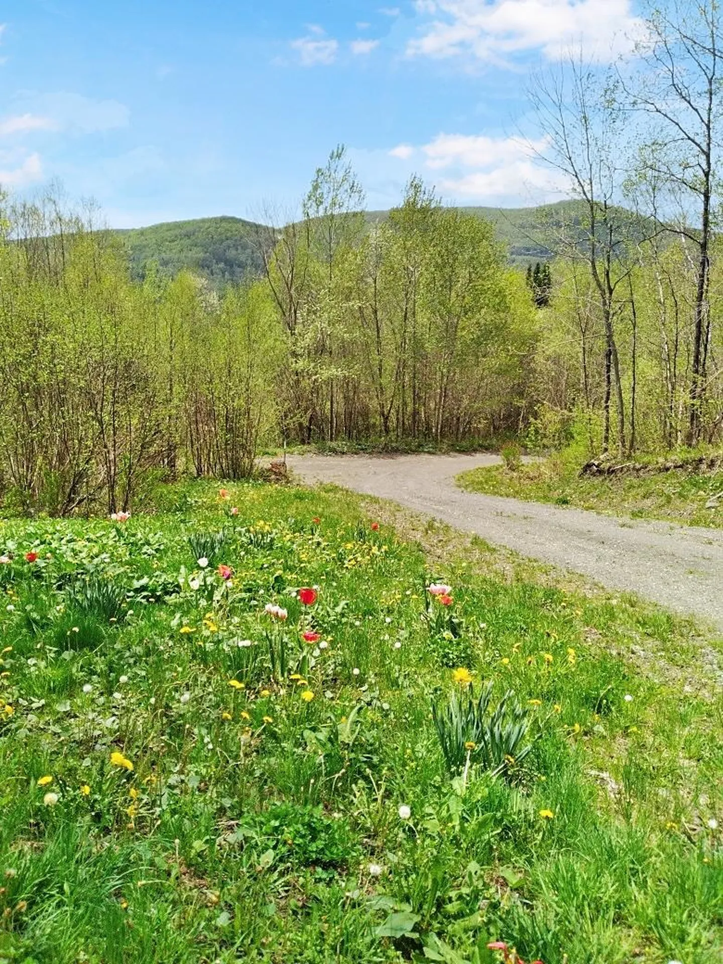 11 Roy Boulevard Pittsburg NH 03592