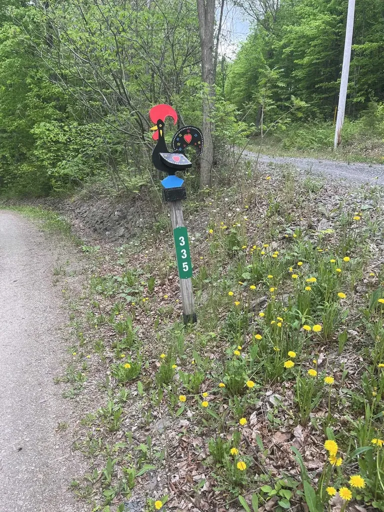 335 Valley View Drive Addison VT 05491