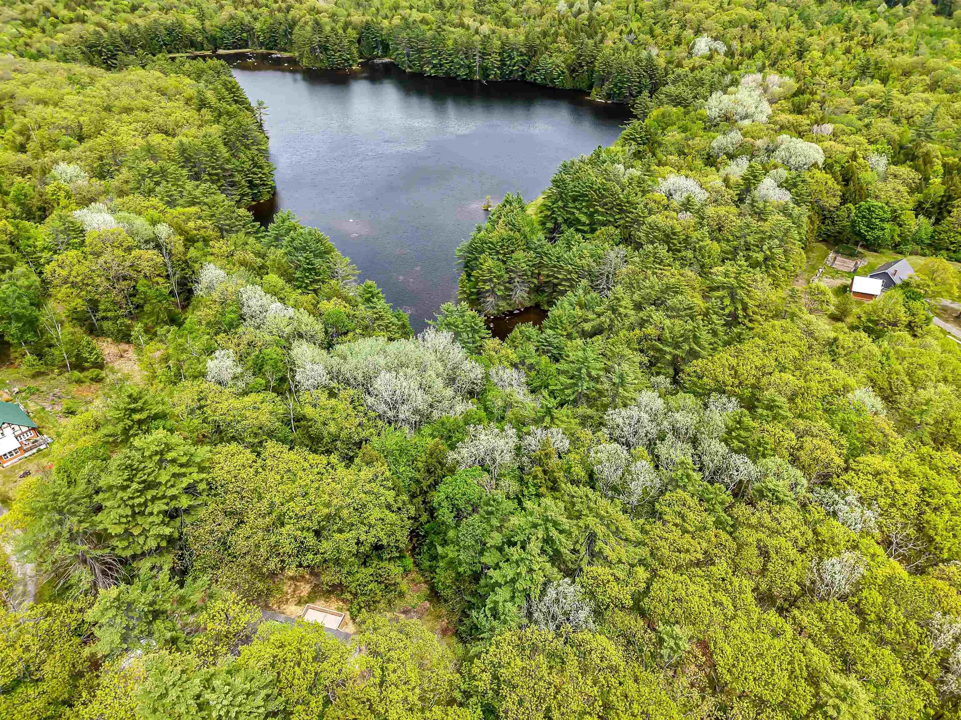 92 Moose Mountain Road Canaan NH 03741