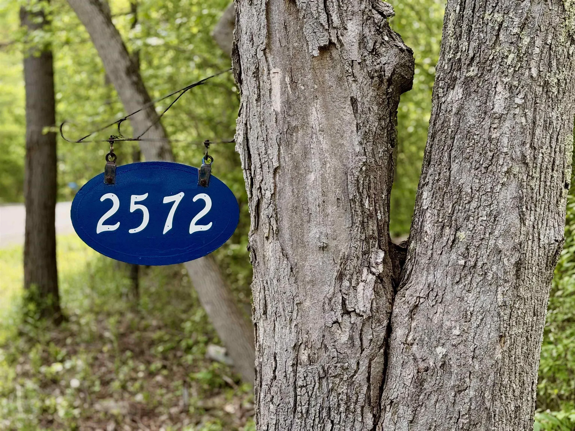 2572 Morse Hill Road Dorset VT 05251
